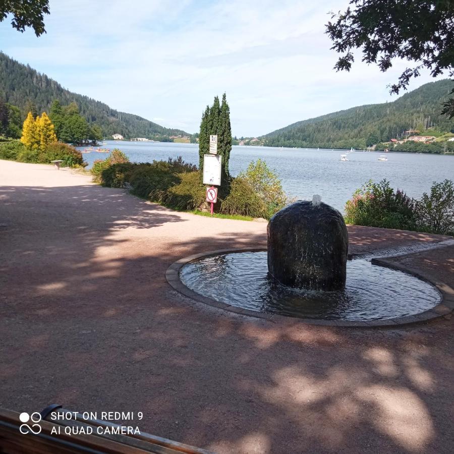 Appartement 3 étoiles les Balcons de la Chalande le Tholy Gerardmer Esterno foto